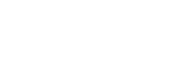 dev-vincitore