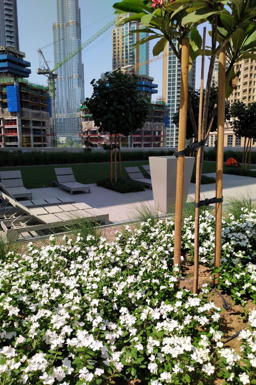 1 Br Apt for rent in Boulevard Crescent Downtown5